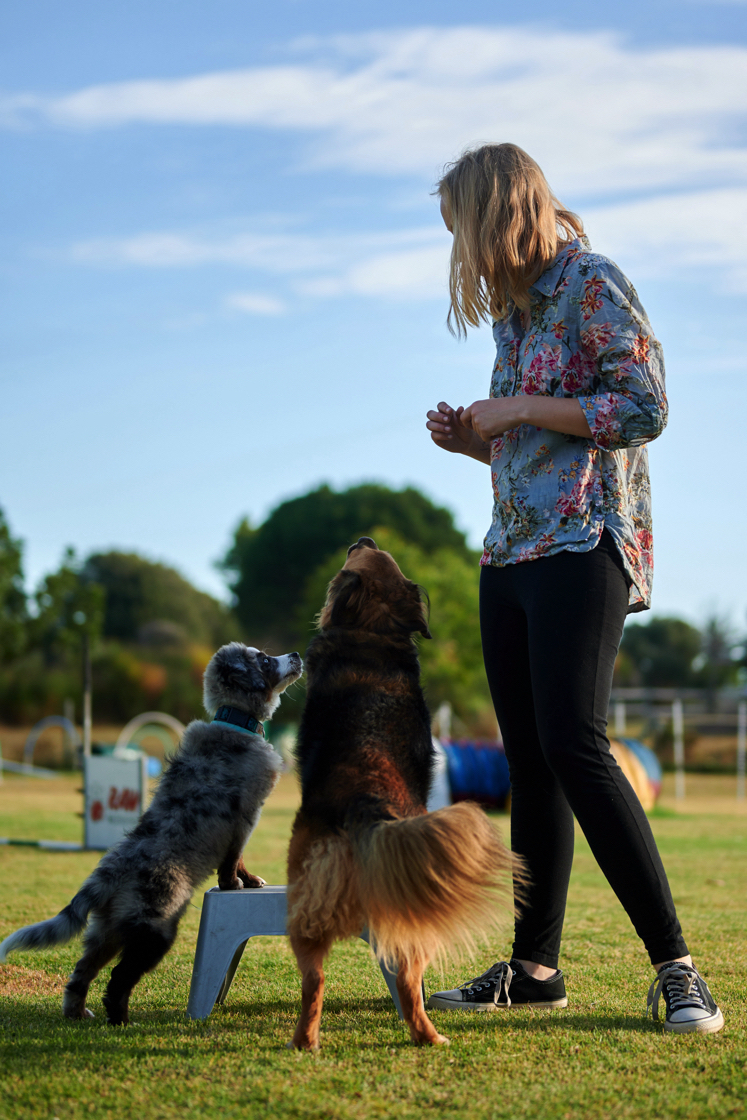 Annika, Bambi and Blitz